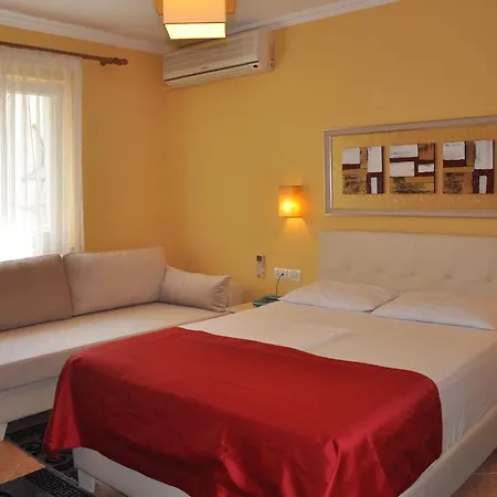 호텔 Pik Loti 티라나