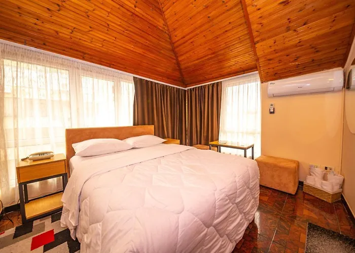 匹克罗蒂酒店 地拉那