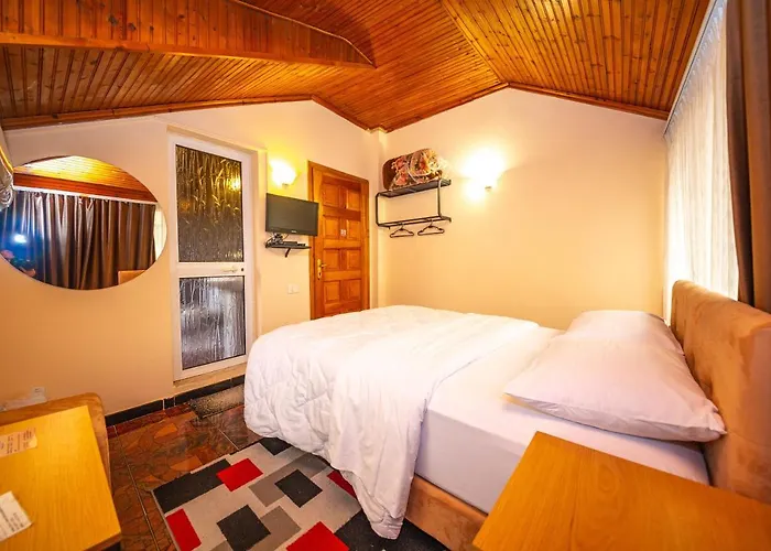 匹克罗蒂酒店 3*