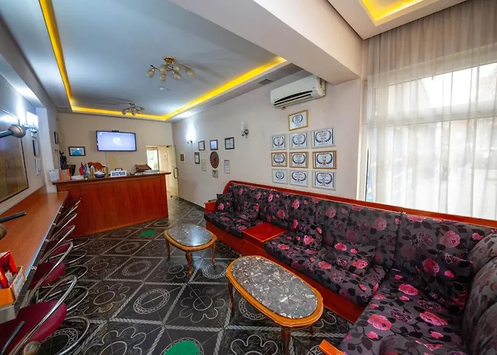 匹克罗蒂酒店 3*